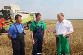Первые в Гродненской области намолотили 1000 тонн зерна с учетом рапса