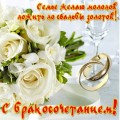 Поздравляем с Днем бракосочетания Цан Адама и Оксану!