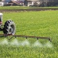ВНИМАНИЕ - 21-22 августа будет проводиться химическая обработка пестицидами.