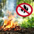 Неосторожное обращение с огнем и палы сухой растительности: как не допустить пожар.