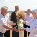 В РСУП «Олекшицы» провели обряд «Зажинки».