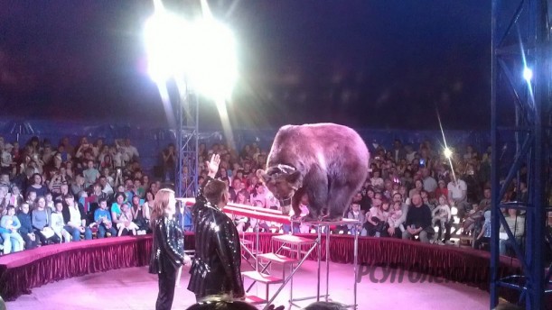 Работники предприятия побывали на цирковом шоу "Арлекин"