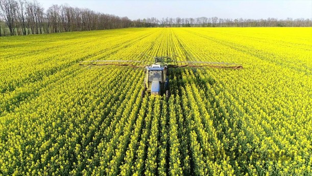 Объявление! 13  и  14  cентября  2018 года будет проводиться химическая обработка  посевов  рапса  пестицидами