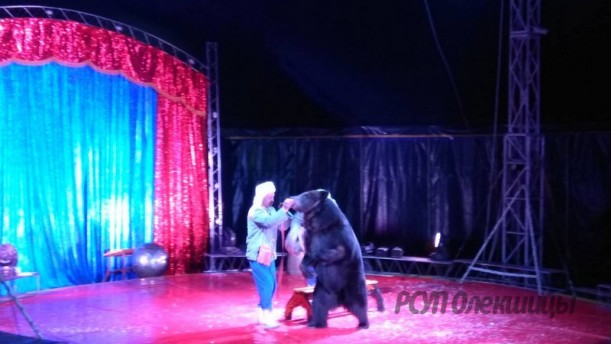 Поездка для работников предприятия и их детей в цирк в город Гродно