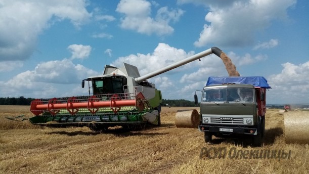 Уборка урожая зерновых — фотофакт