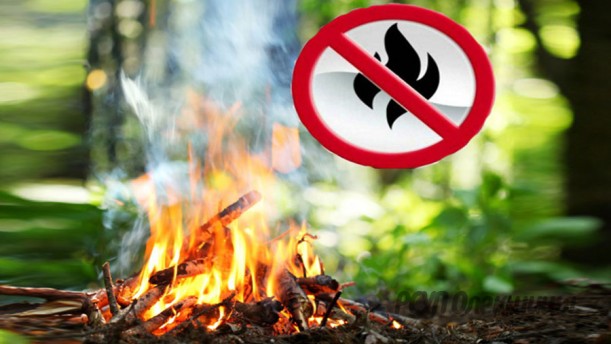 Неосторожное обращение с огнем и палы сухой растительности: как не допустить пожар.