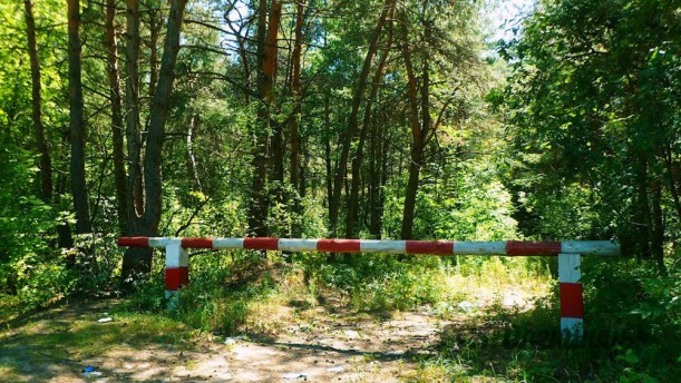 В Берестовицком районе запрещено посещение лесов.